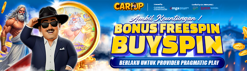 BONUS FREESPIN/BUYSPIN
